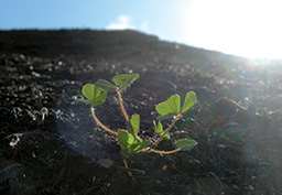 fers biodéchets